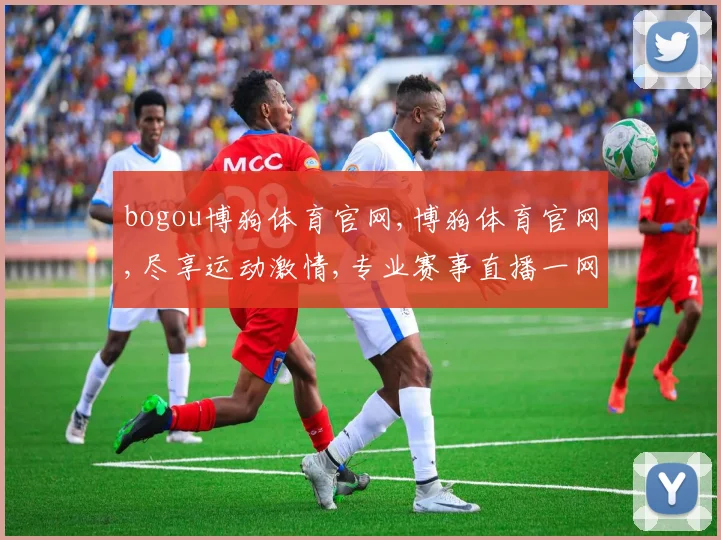 bogou博狗体育官网,博狗体育官网,尽享运动激情,专业赛事直播一网打尽