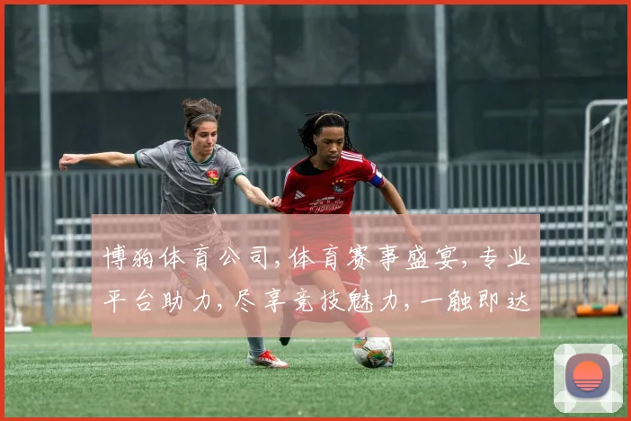 博狗体育公司,体育赛事盛宴,专业平台助力,尽享竞技魅力,一触即达精彩