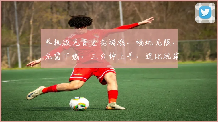 单机版免费金花游戏，畅玩无限，无需下载，三分钟上手，逗比玩家必备逗逗逗