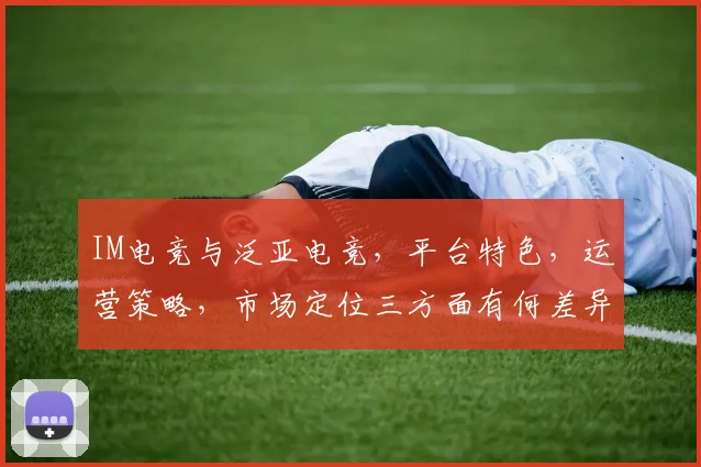 IM电竞与泛亚电竞，平台特色，运营策略，市场定位三方面有何差异