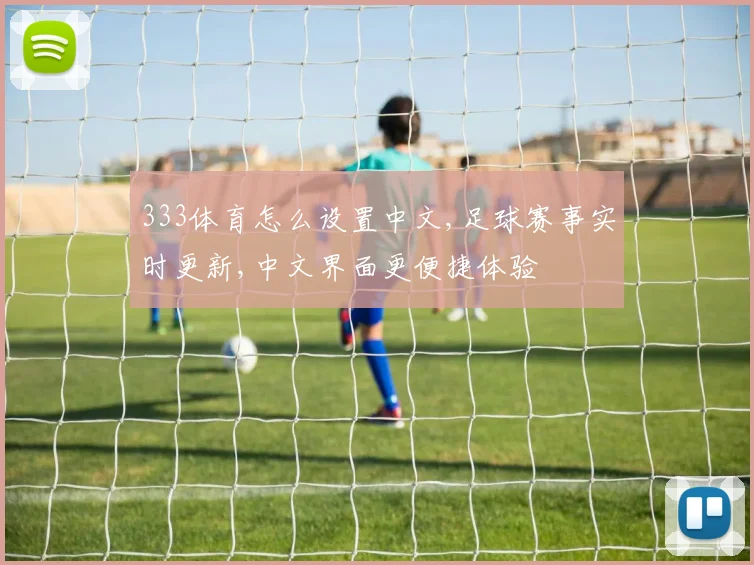 333体育怎么设置中文,足球赛事实时更新,中文界面更便捷体验